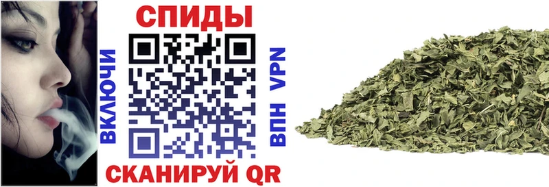 Купить закладки  Струнино  БУТИРАТ оксана 