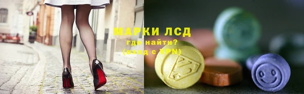 крисы Алзамай