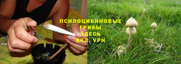 дживик Алексеевка