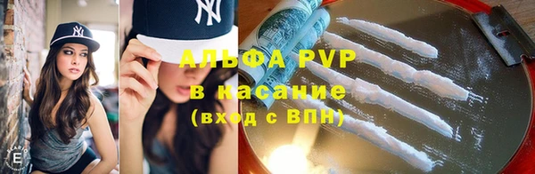 крисы Алзамай